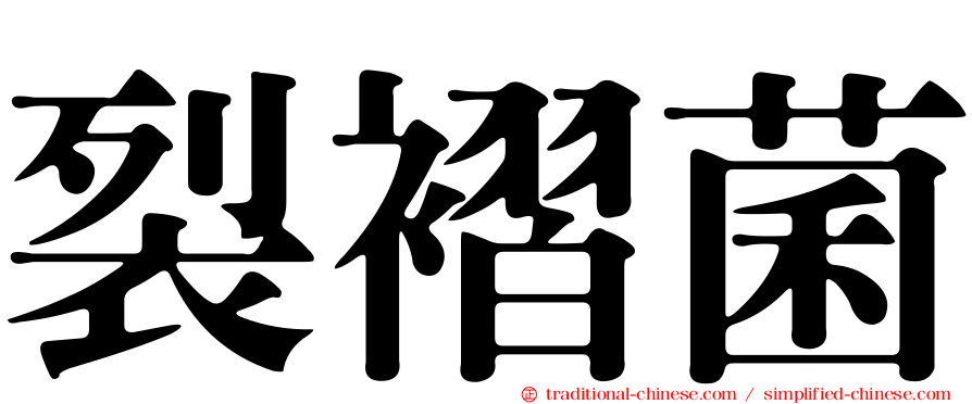 裂褶菌