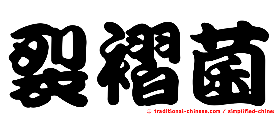 裂褶菌