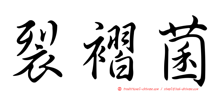 裂褶菌