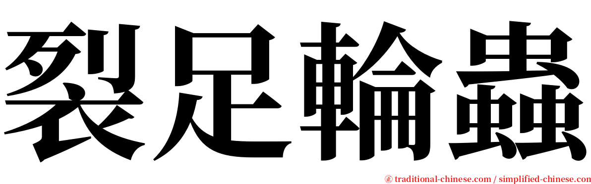 裂足輪蟲 serif font
