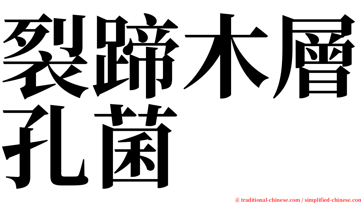 裂蹄木層孔菌 serif font