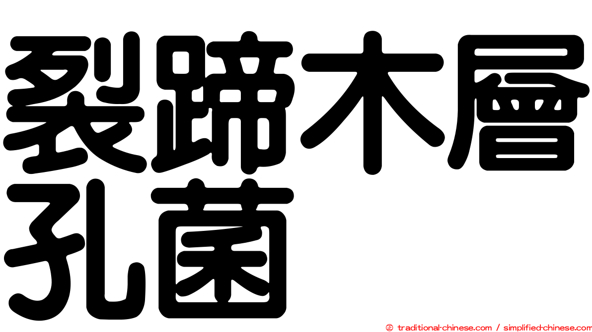 裂蹄木層孔菌