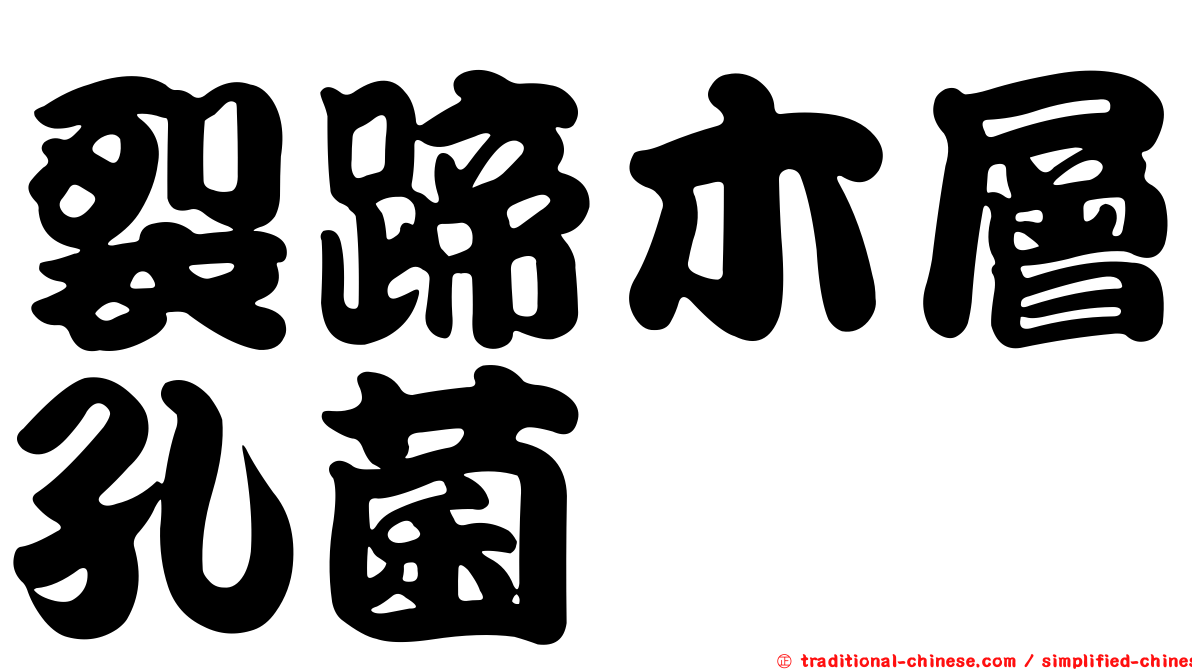 裂蹄木層孔菌