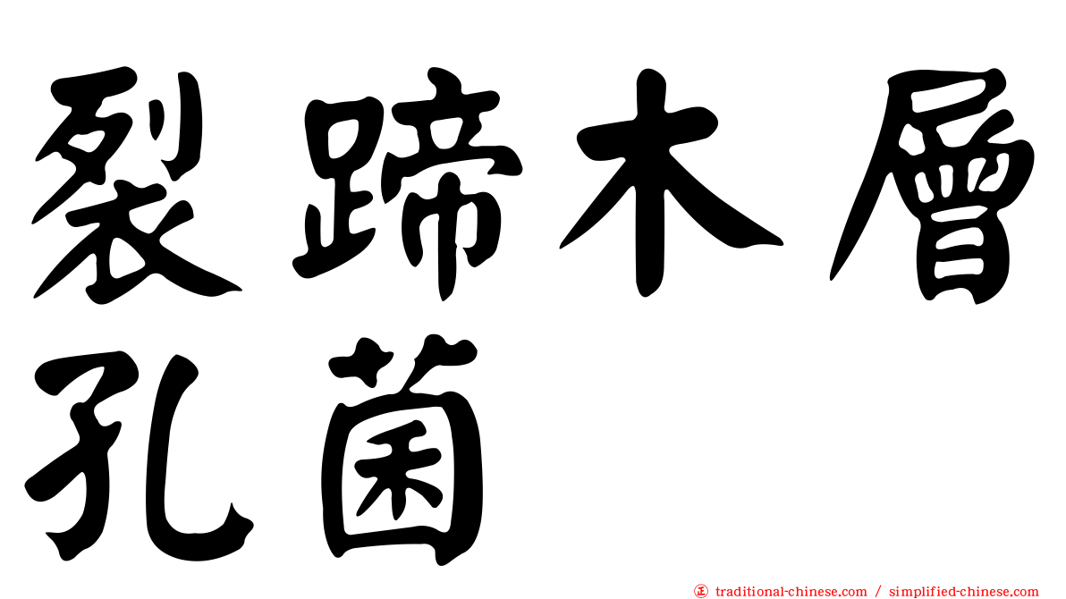 裂蹄木層孔菌