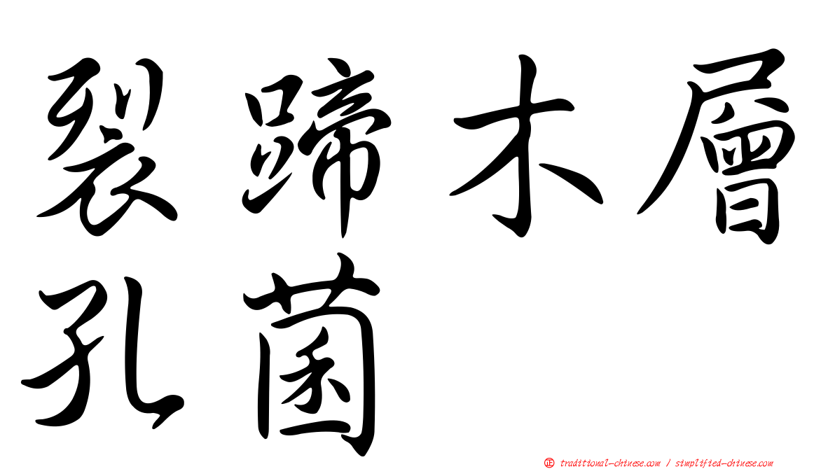 裂蹄木層孔菌