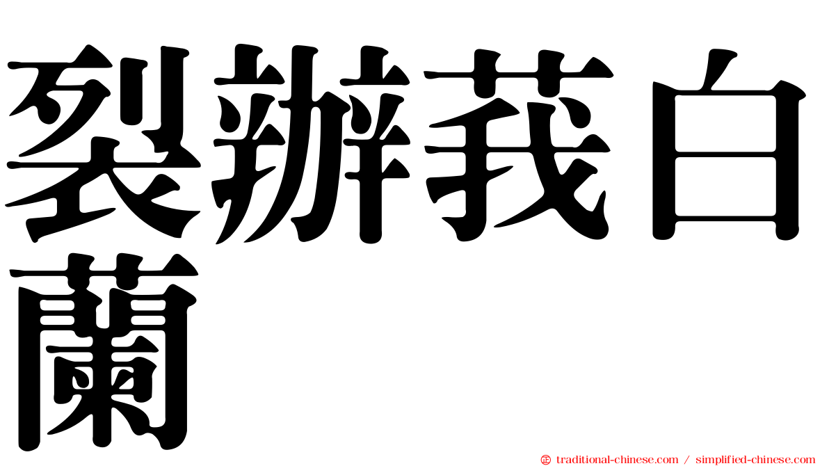 裂辦莪白蘭