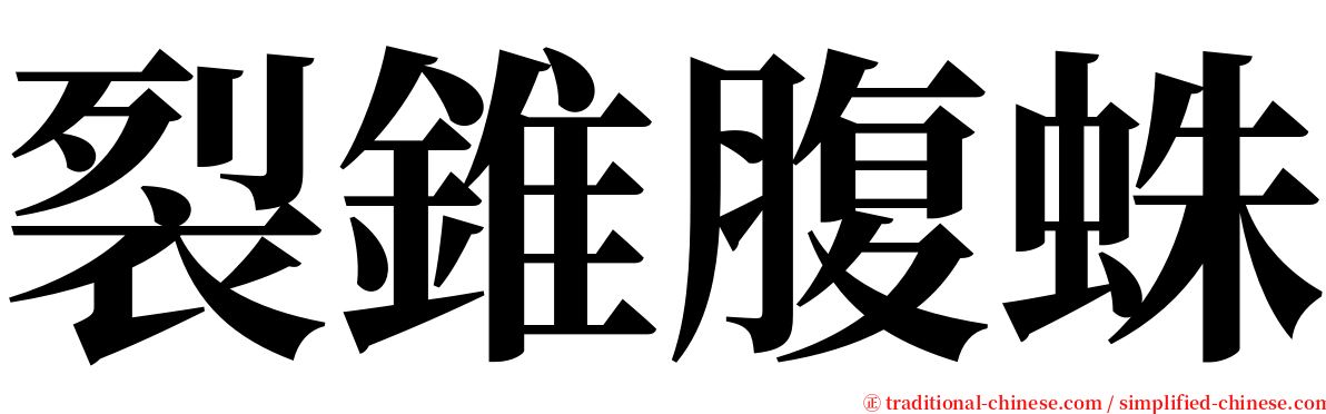 裂錐腹蛛 serif font