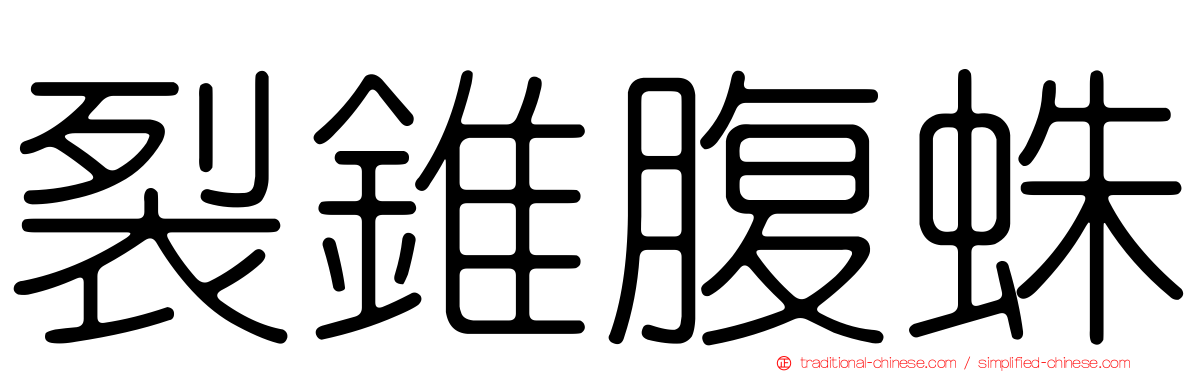 裂錐腹蛛