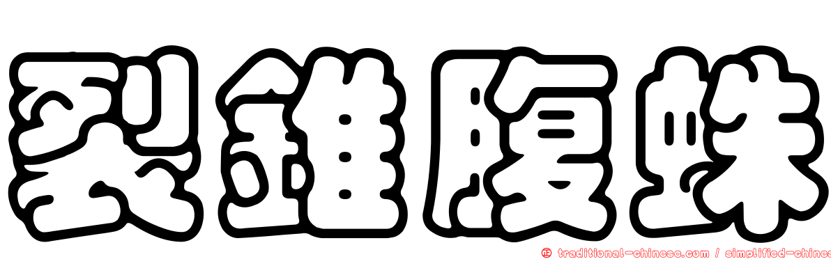 裂錐腹蛛