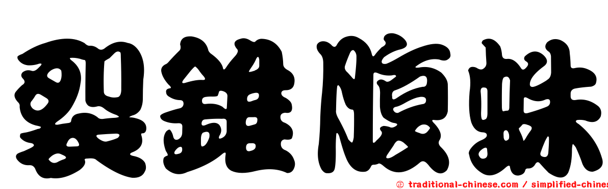 裂錐腹蛛