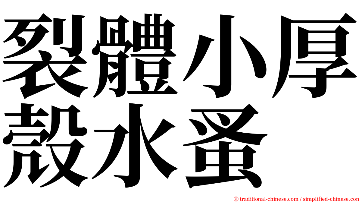 裂體小厚殼水蚤 serif font