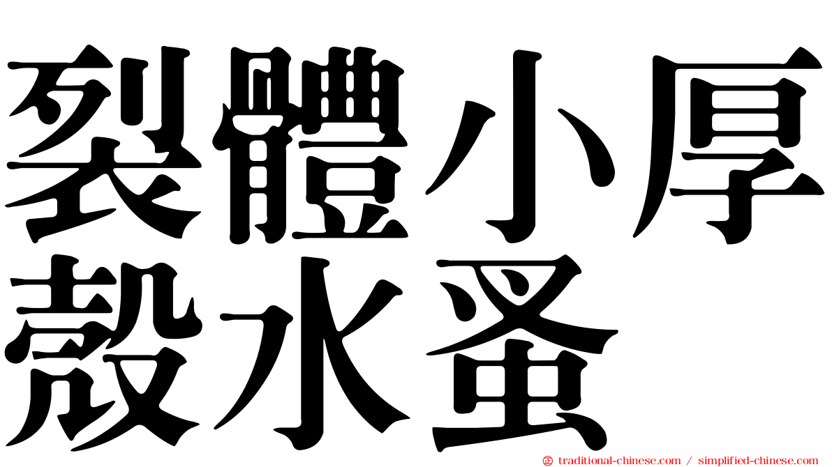 裂體小厚殼水蚤
