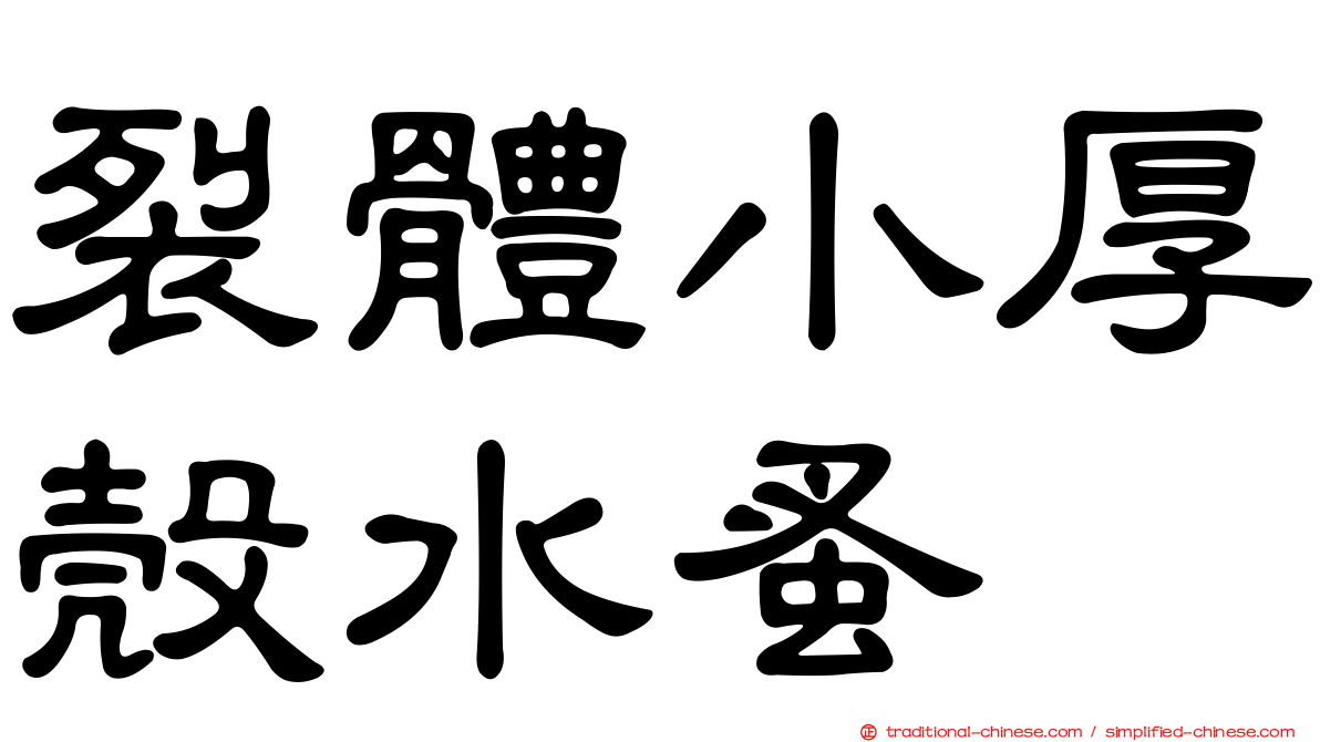 裂體小厚殼水蚤