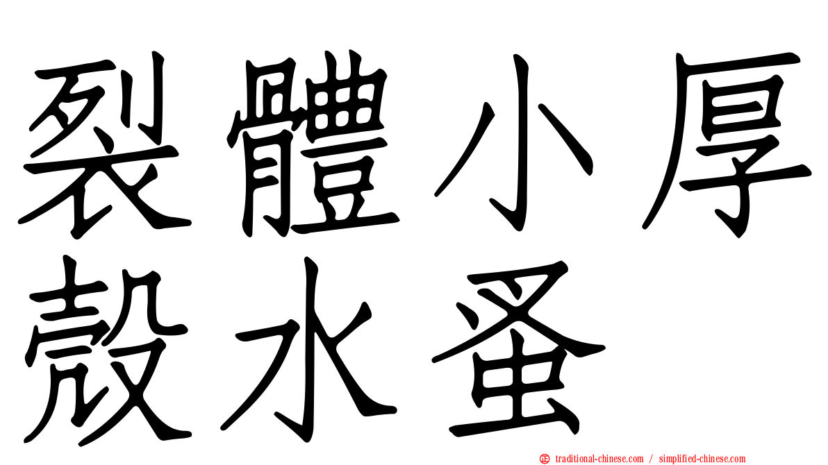 裂體小厚殼水蚤