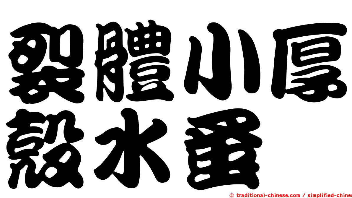 裂體小厚殼水蚤