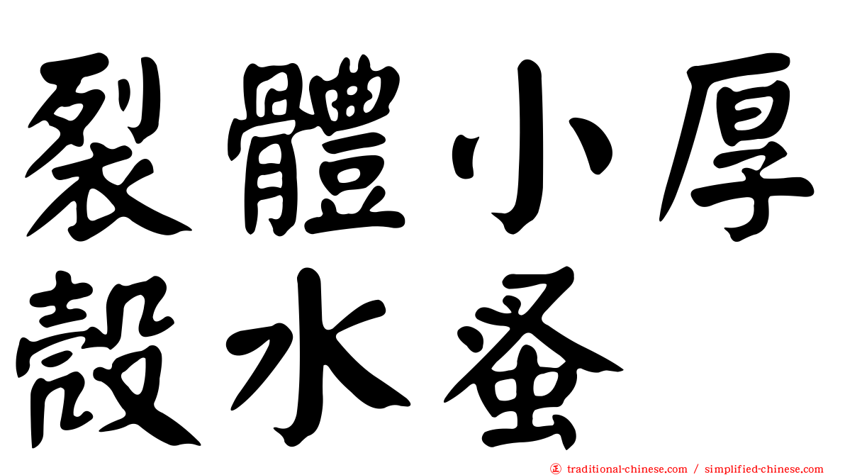 裂體小厚殼水蚤