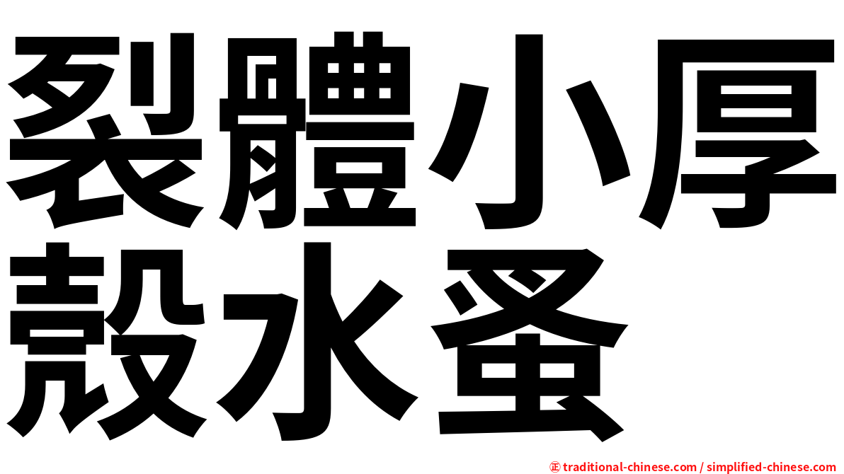 裂體小厚殼水蚤