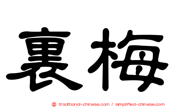 裏梅