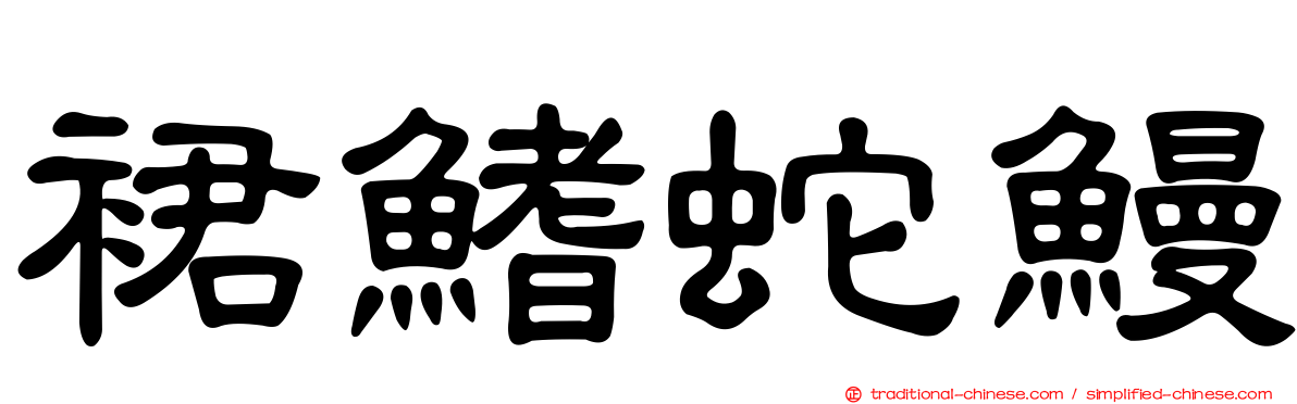 裙鰭蛇鰻