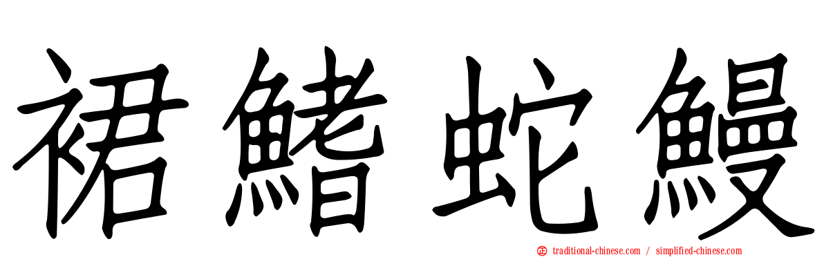 裙鰭蛇鰻