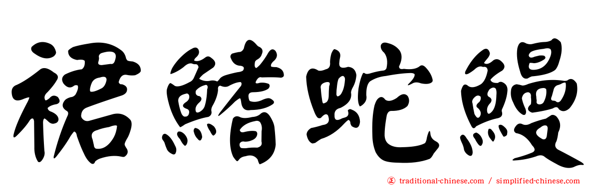 裙鰭蛇鰻