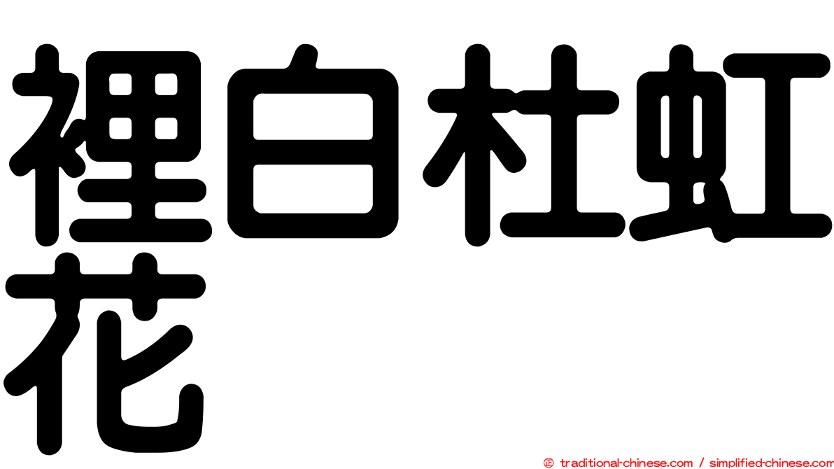 裡白杜虹花