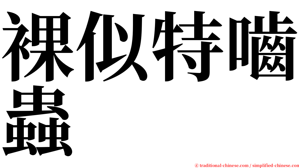裸似特嚙蟲 serif font