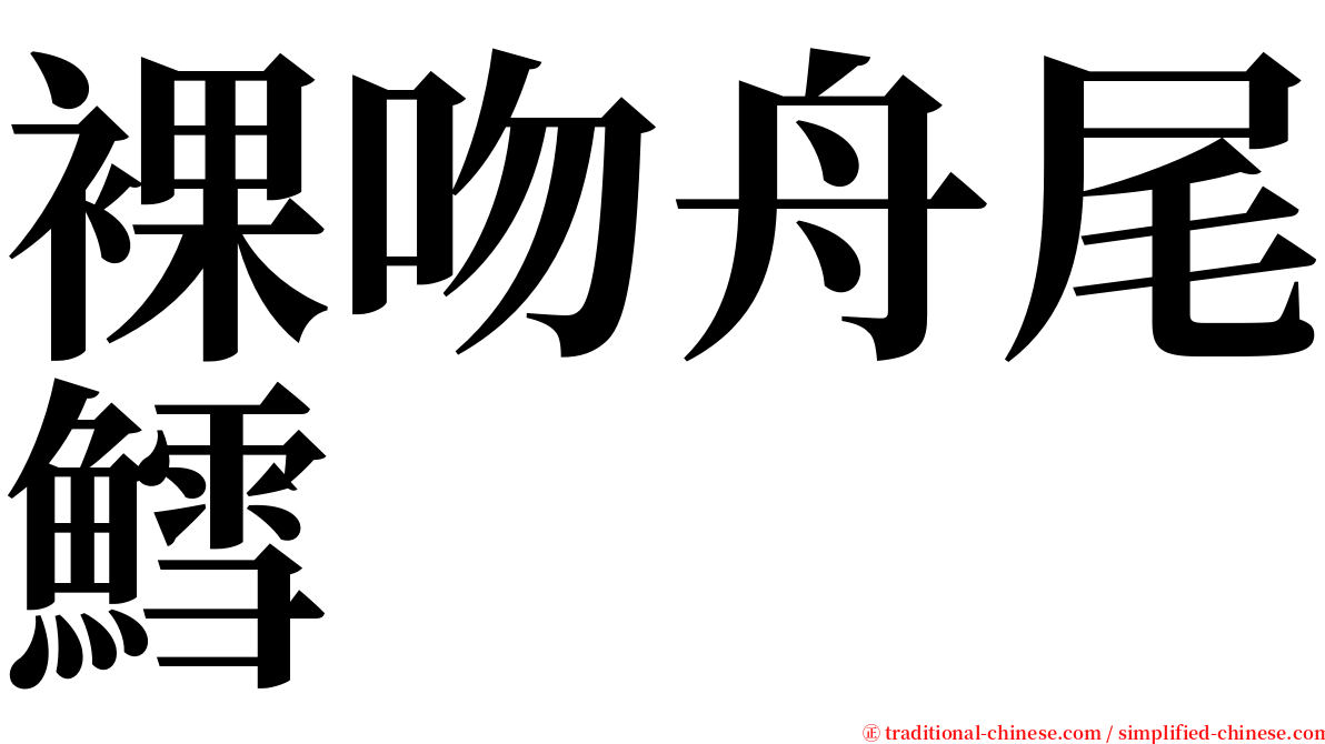 裸吻舟尾鱈 serif font