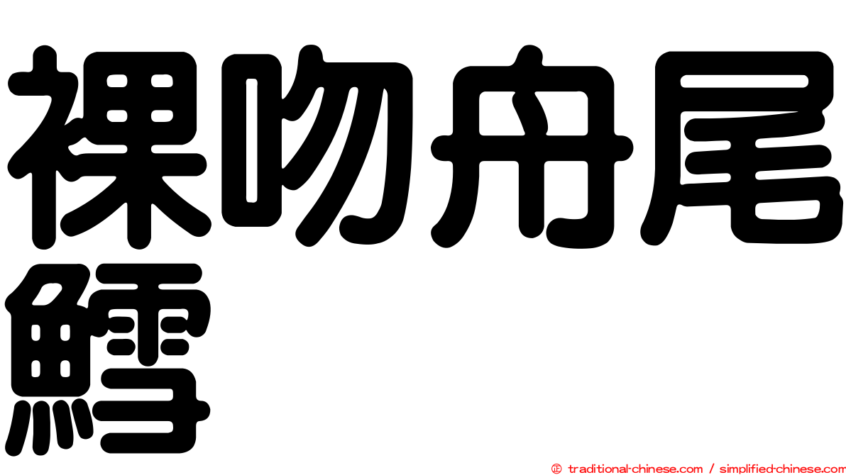 裸吻舟尾鱈
