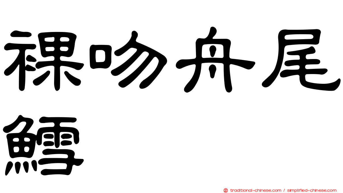 裸吻舟尾鱈