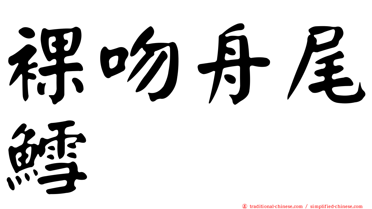 裸吻舟尾鱈