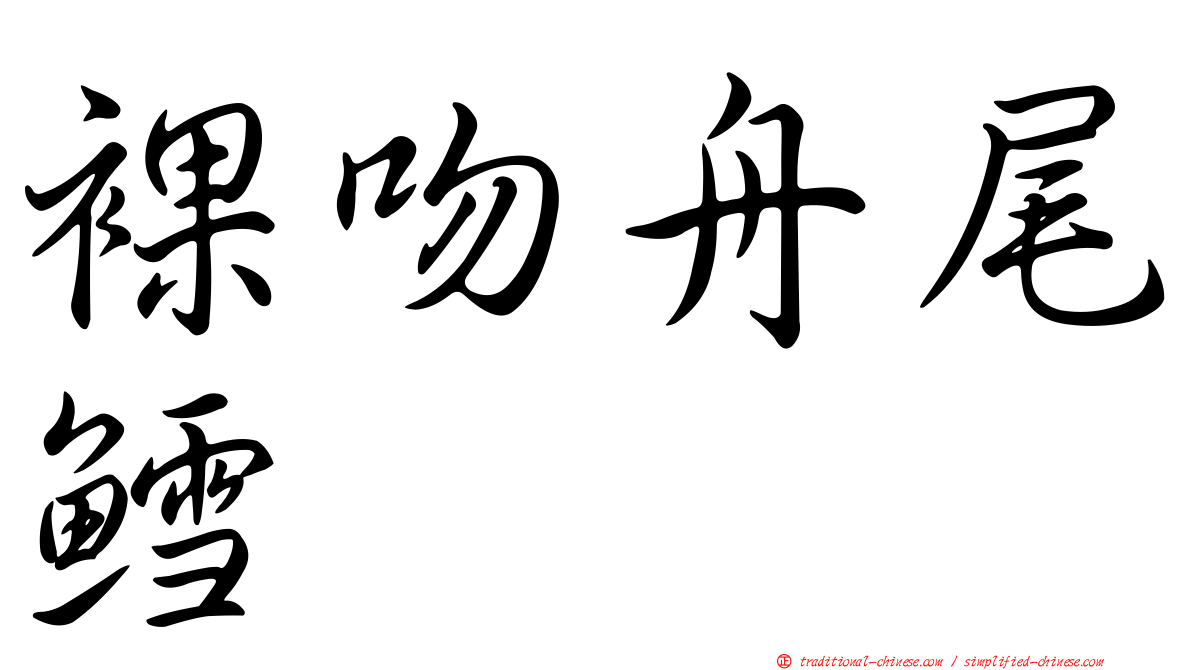 裸吻舟尾鱈