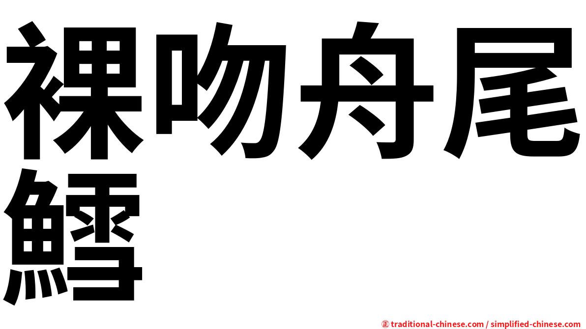 裸吻舟尾鱈