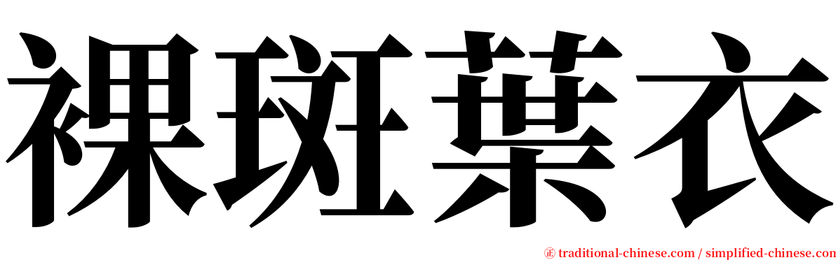 裸斑葉衣 serif font