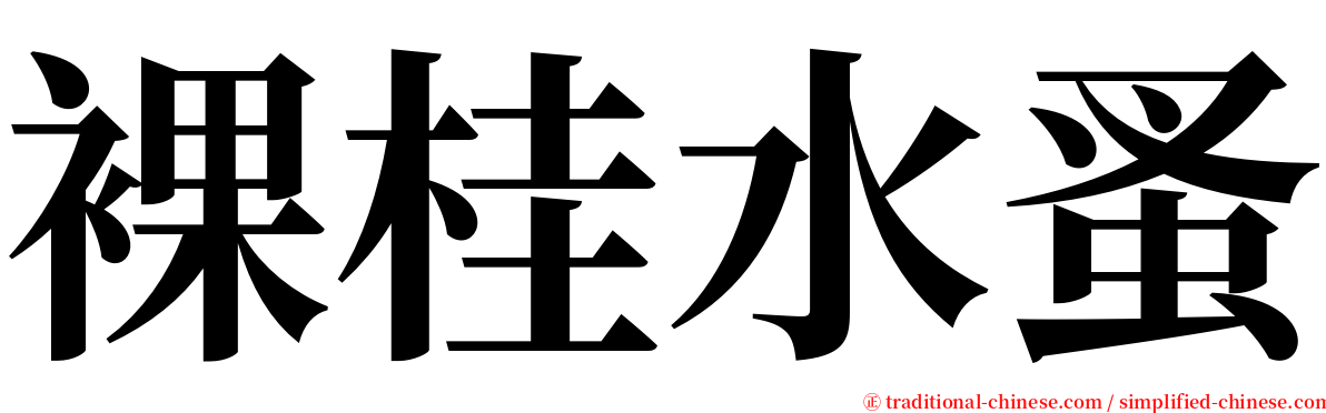 裸桂水蚤 serif font