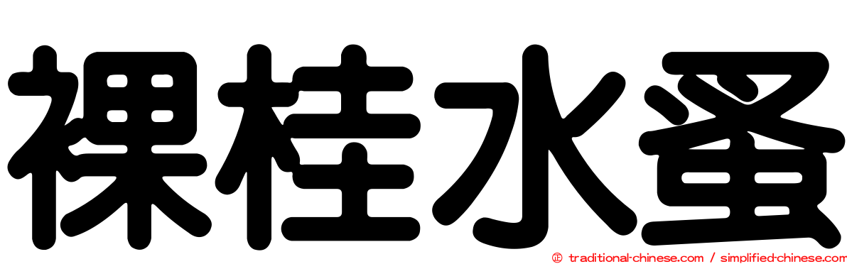裸桂水蚤