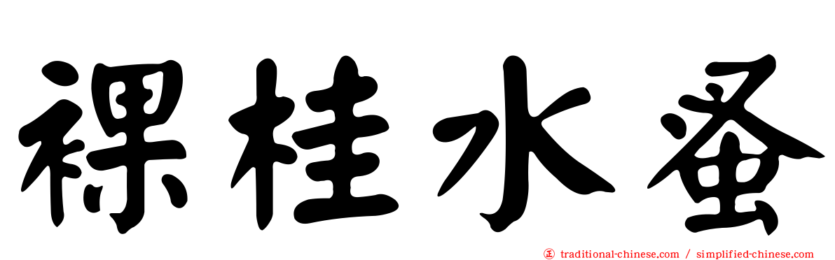 裸桂水蚤