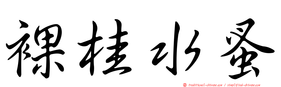 裸桂水蚤
