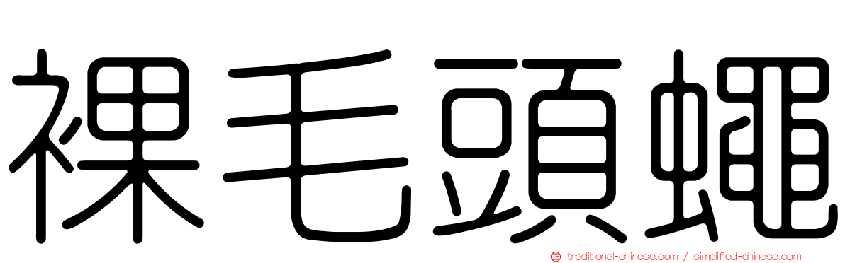 裸毛頭蠅
