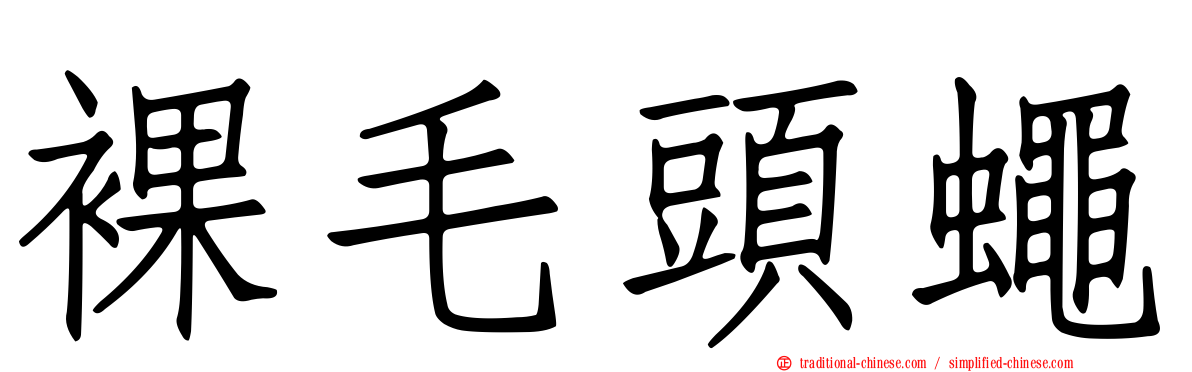 裸毛頭蠅