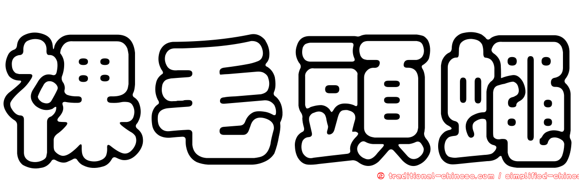 裸毛頭蠅
