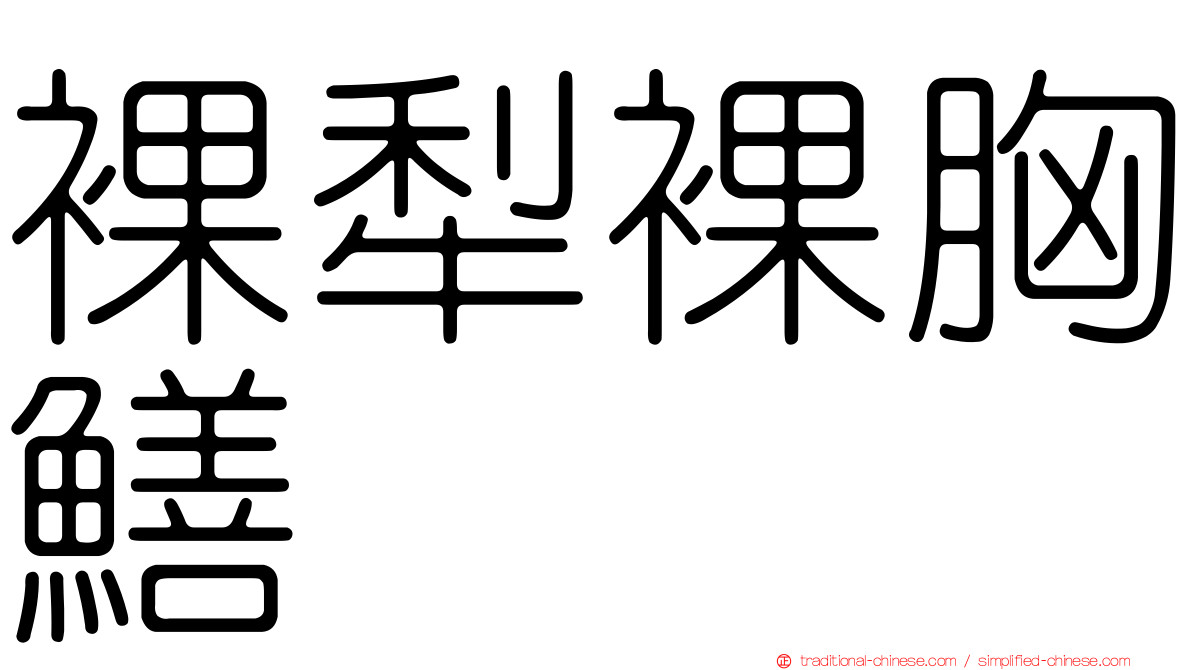 裸犁裸胸鱔
