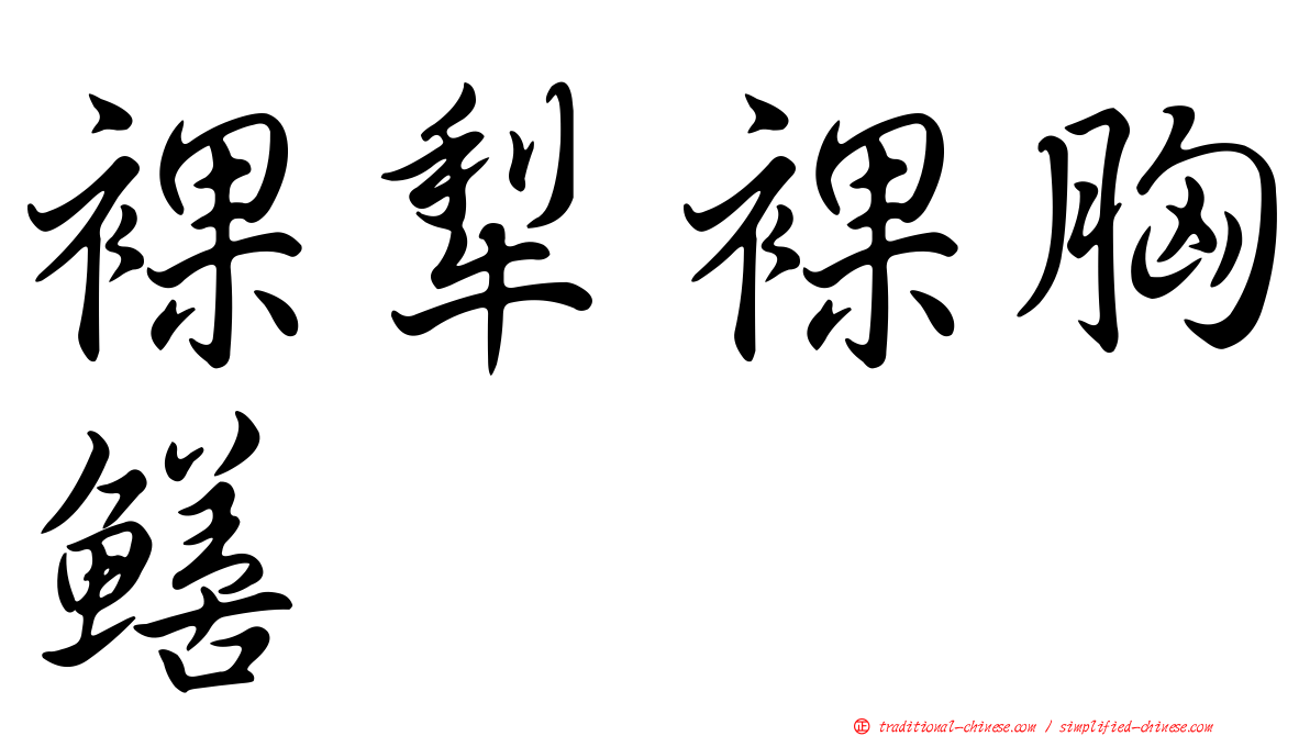 裸犁裸胸鱔