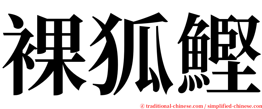 裸狐鰹 serif font