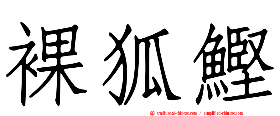 裸狐鰹