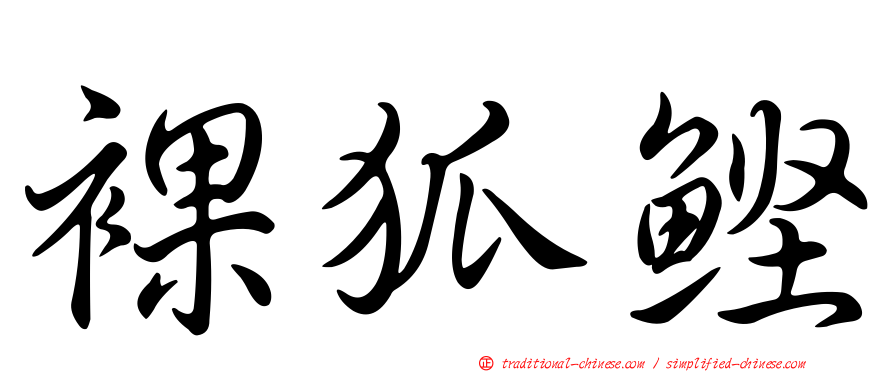 裸狐鰹