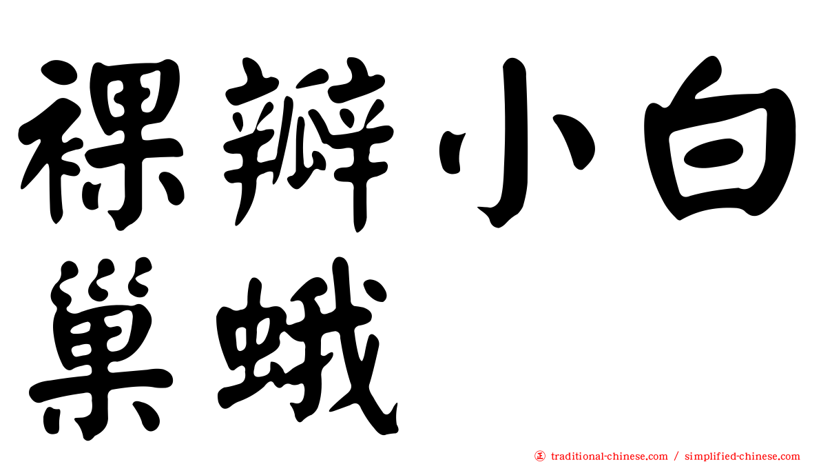 裸瓣小白巢蛾