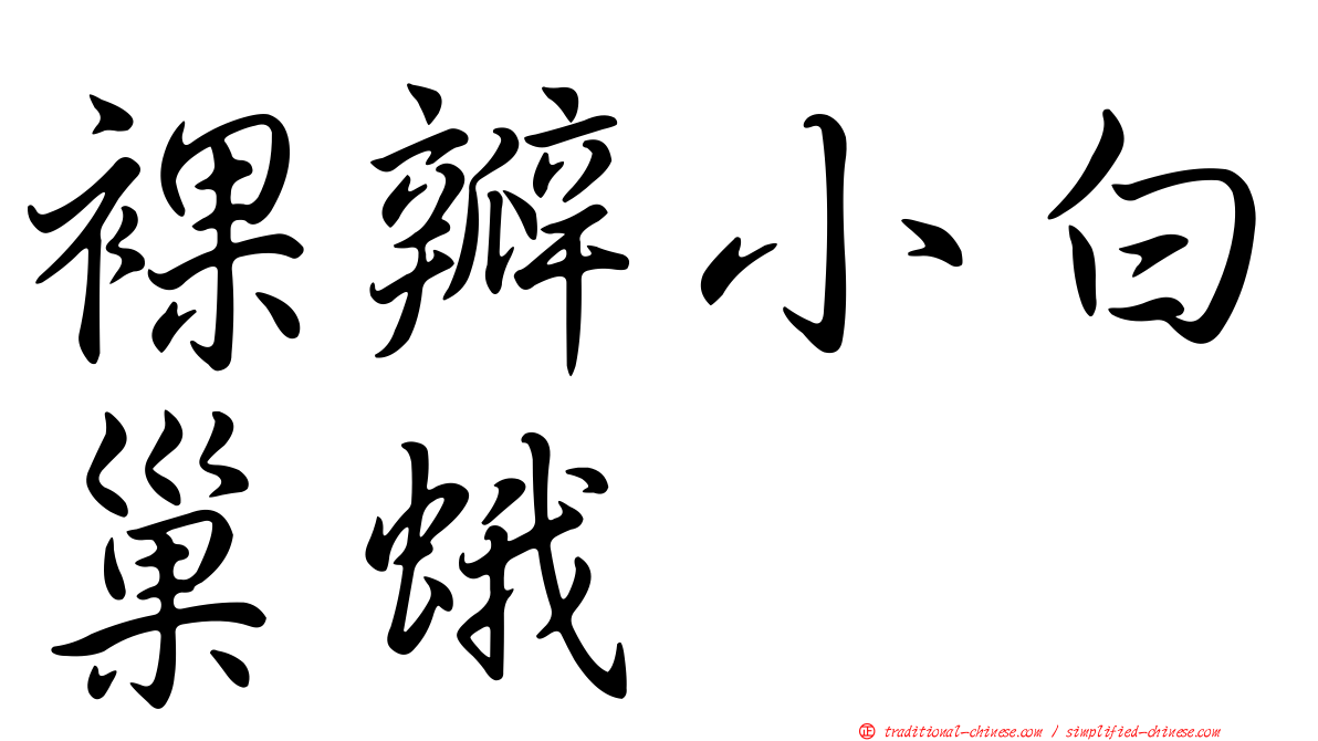 裸瓣小白巢蛾