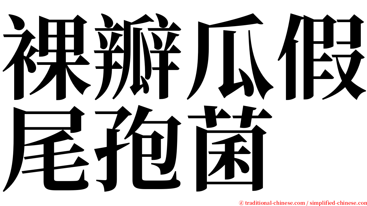 裸瓣瓜假尾孢菌 serif font