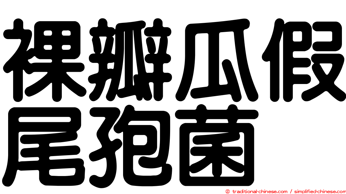裸瓣瓜假尾孢菌